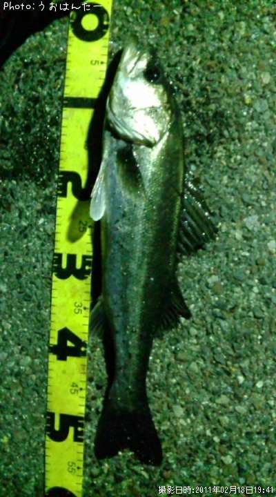 �����Х�