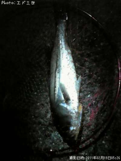 �����Х�