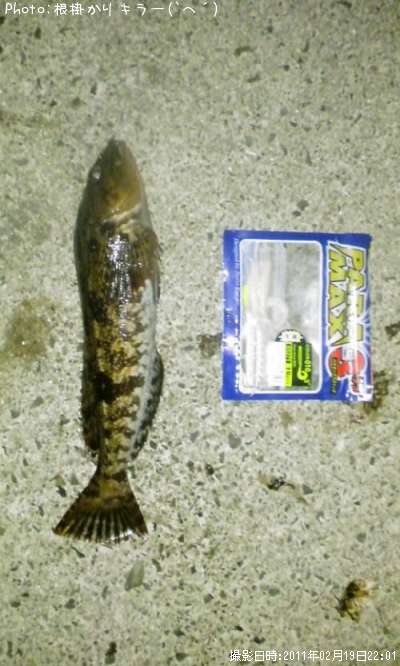 �����ʥ�