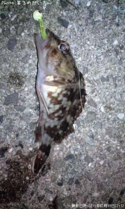 �����Υ���Х�