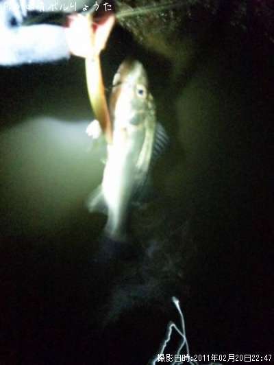 �����Х�