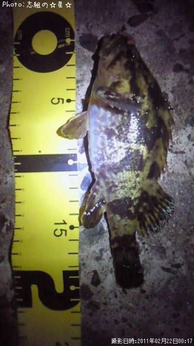 �����Υ���Х�