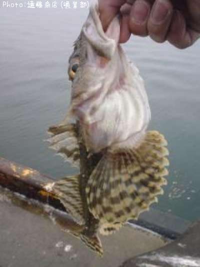 ����ߥ�����