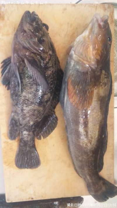 �����ʥᡦ����