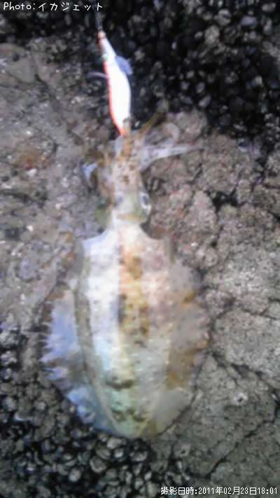 �����ꥤ��