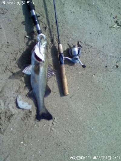 �����Х���