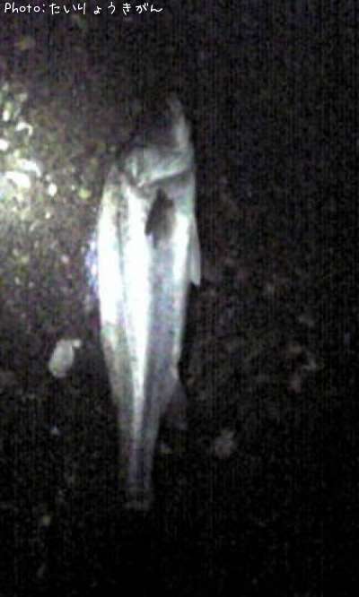 �����Х�