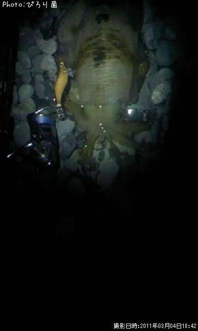 �����ꤤ��