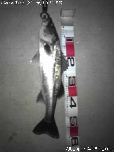 �����Х�