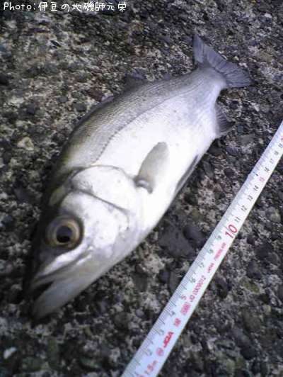 �ҥ饹����