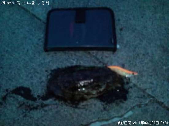 �����ꥤ��