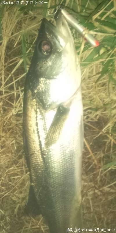 �����Х�