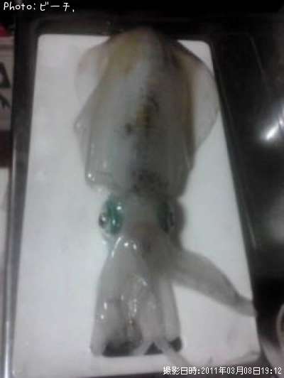 �����ꥤ��