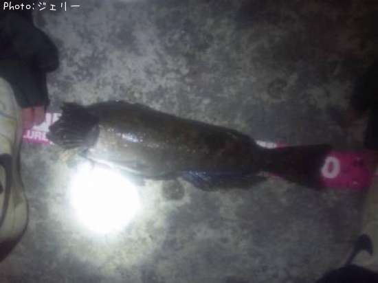 �����ʥ�