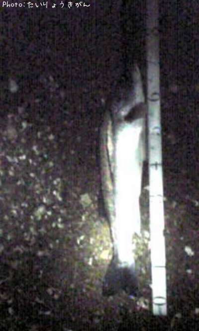 �����Х�