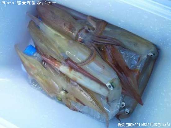 �䥤��������ᥤ��