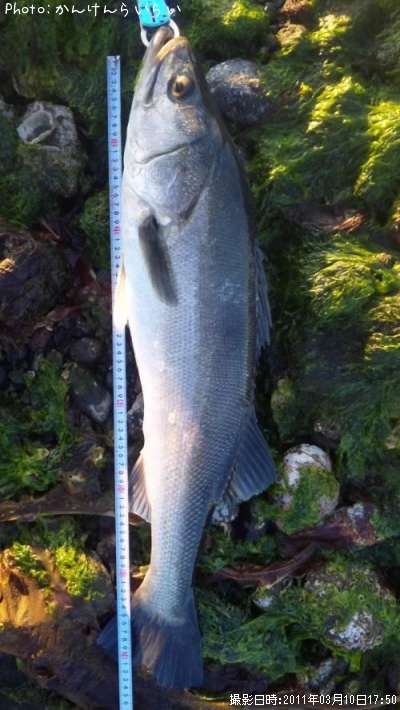 �����Х�