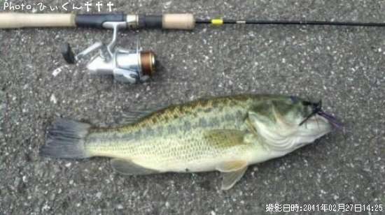 �֥�å��Х�