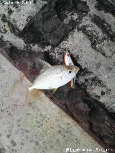 ����䥬����