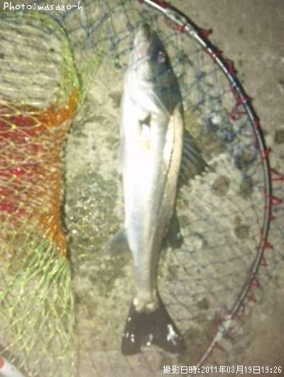 �����Х�