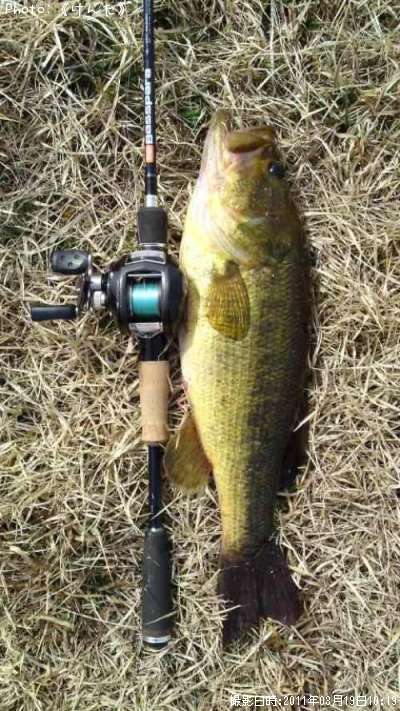 �֥�å��Х�