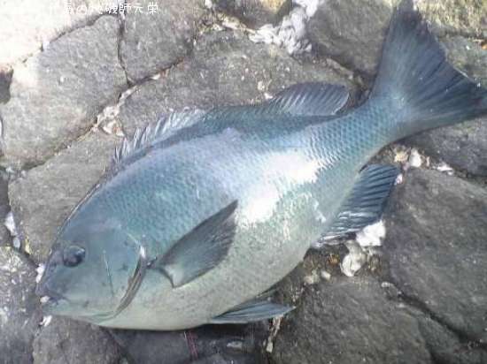 �����᥸��