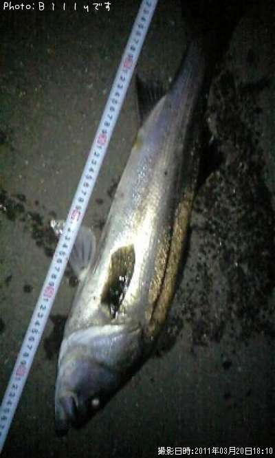 �����Х�