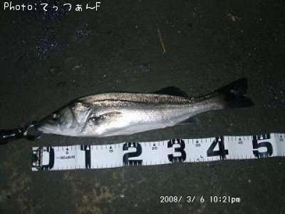 �ޥ륹����