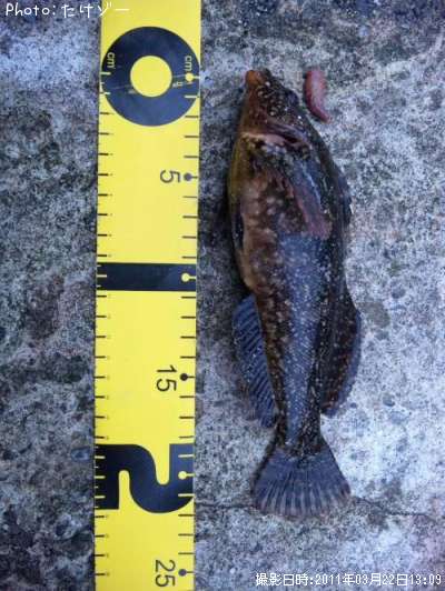 �����ʥ�