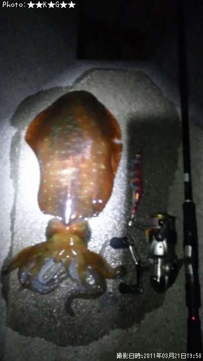 �����ꥤ��