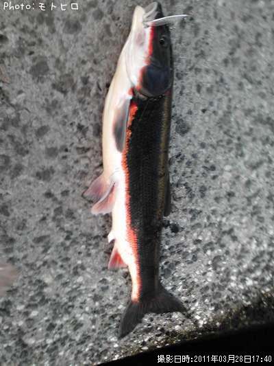 �ޥ륿������