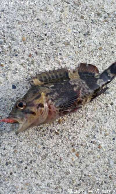 �����Υ���Х�