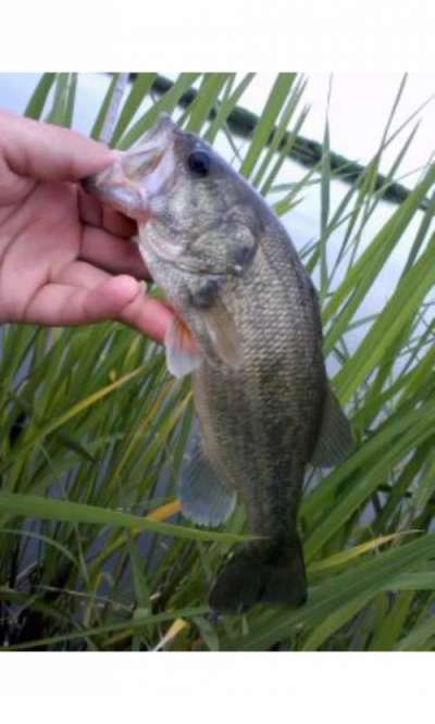 �֥�å��Х�