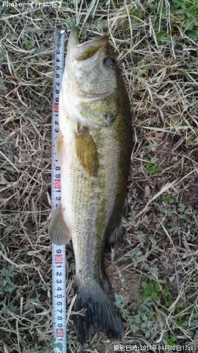 �֥�å��Х�