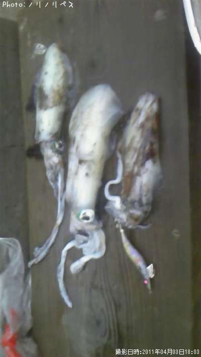 �����ꥤ��