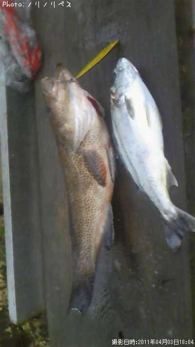 �����ϥ�