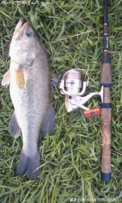 �֥�å��Х�