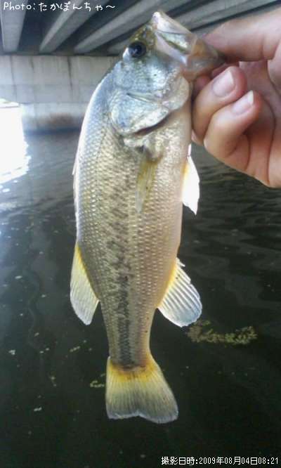 �֥�å��Х�