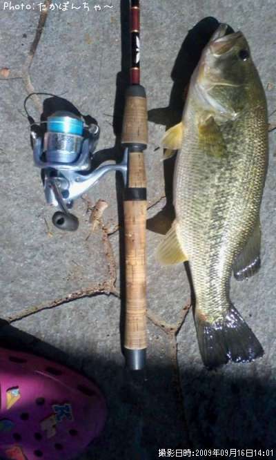 �֥�å��Х�