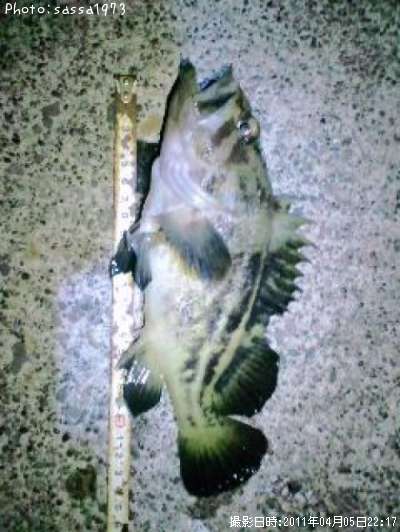 ���ޥ���