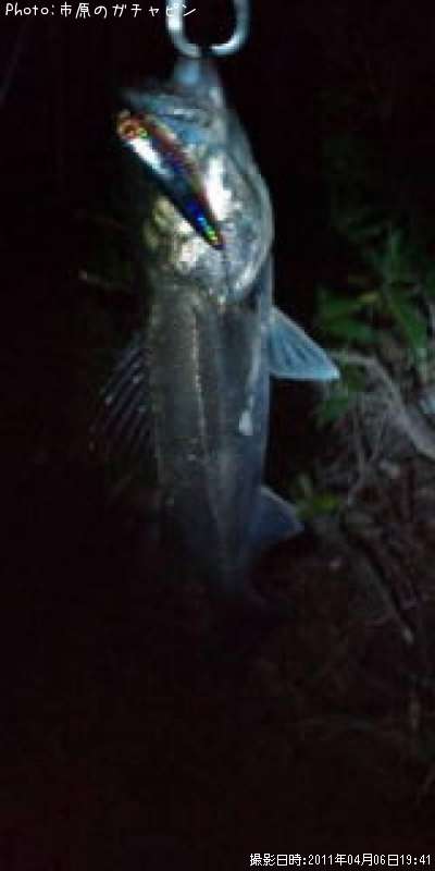 �����Х�