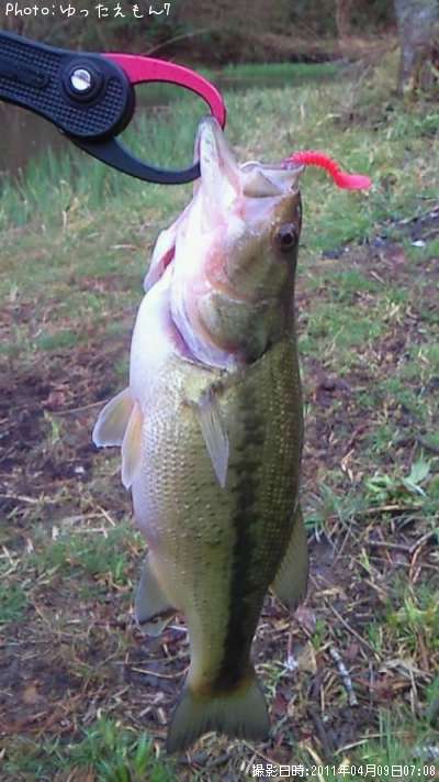 �֥�å��Х�