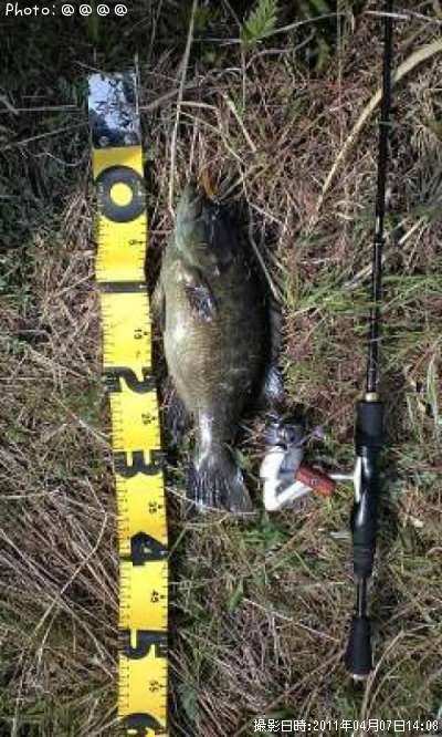 �֥�å��Х�