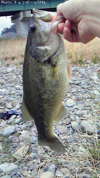 �֥�å��Х�