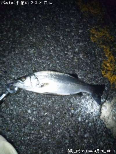 �ҥ饻����