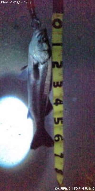 �����Х�