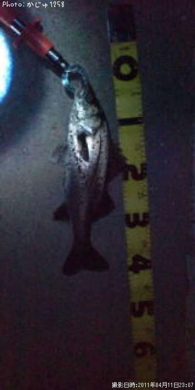 �����Х�