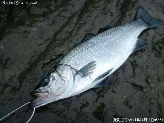 �ҥ饹����