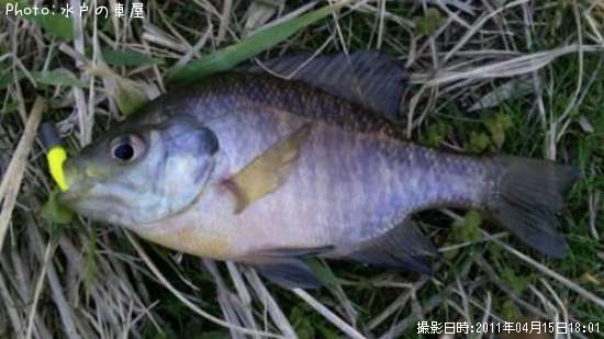 ø���Х�ʾС�