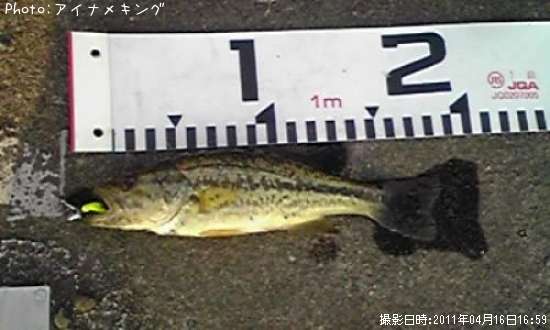 �֥�å��Х�